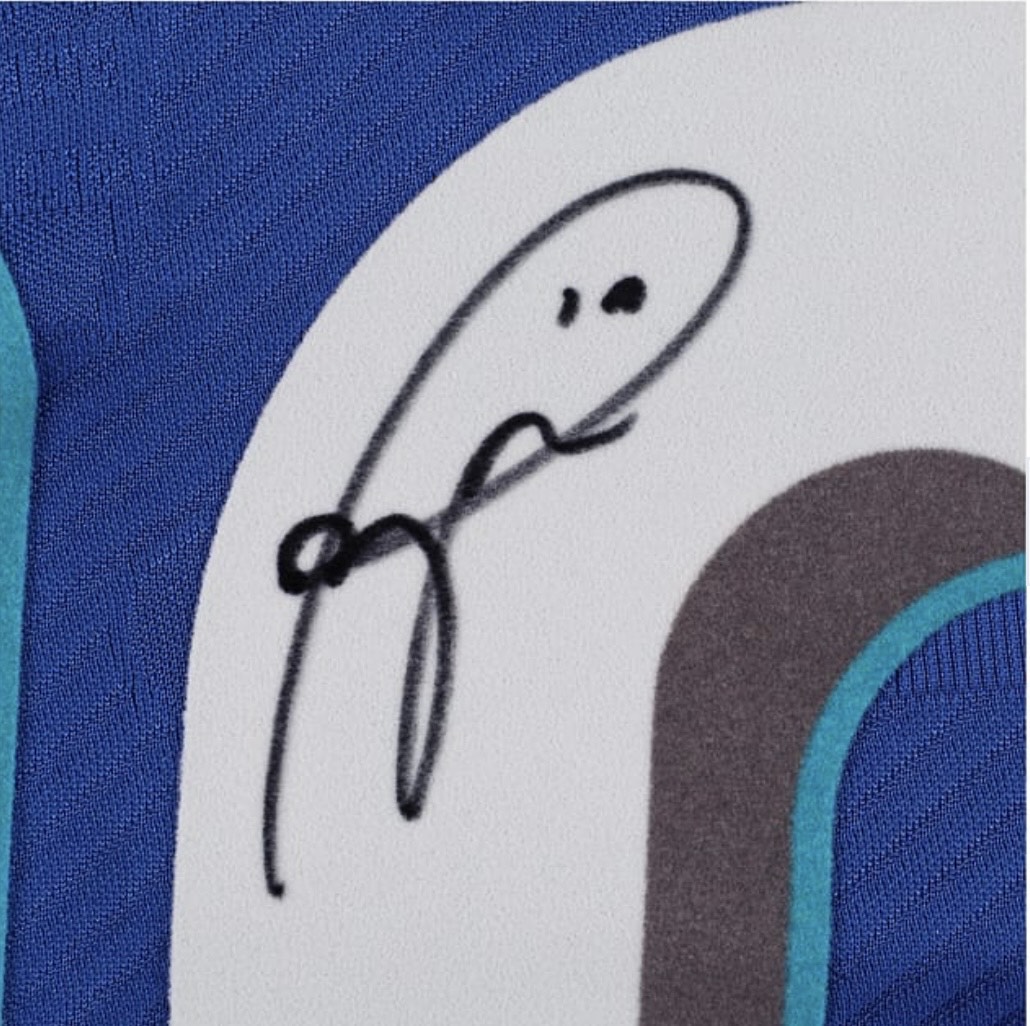 Roberto Baggio - Azzurri - Italy National Team - Autographed Framed Jersey - Image 4