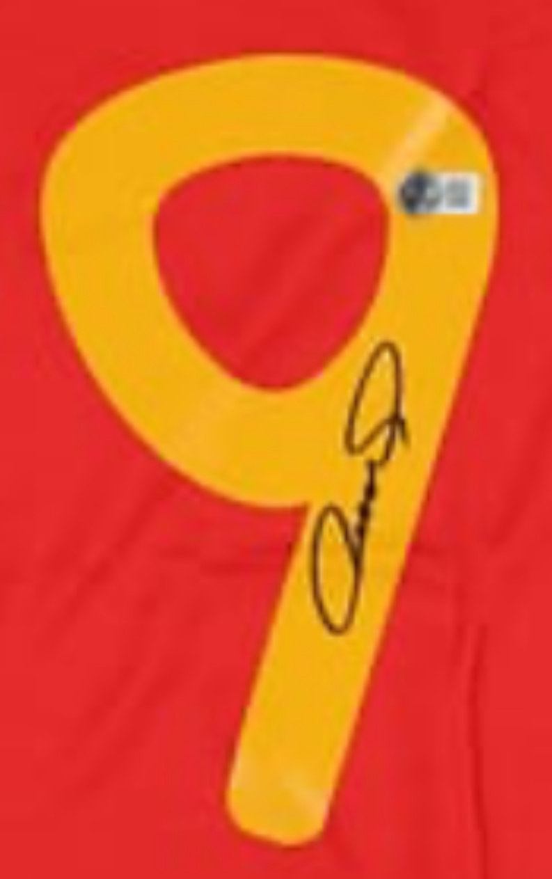 Fernando Torres - Spain National Team - 2010 FIFA World Cup Champions - Framed Autographed Jersey - Image 4